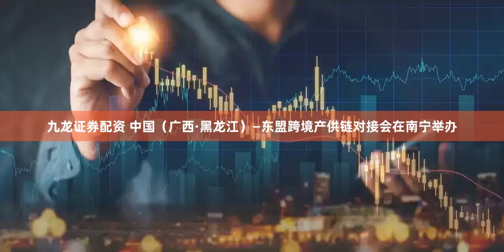 九龙证券配资 中国（广西·黑龙江）—东盟跨境产供链对接会在南宁举办