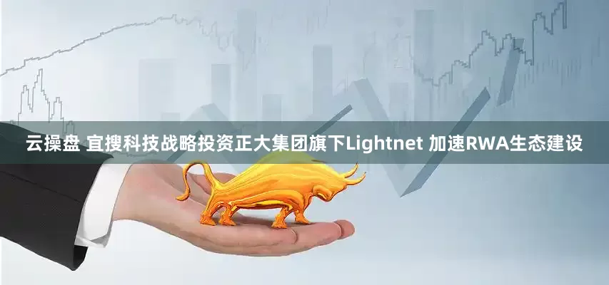 云操盘 宜搜科技战略投资正大集团旗下Lightnet 加速RWA生态建设