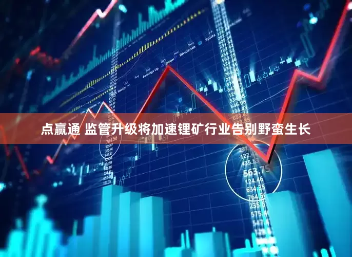 点赢通 监管升级将加速锂矿行业告别野蛮生长
