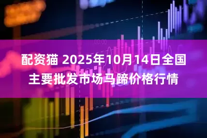 配资猫 2025年10月14日全国主要批发市场马蹄价格行情