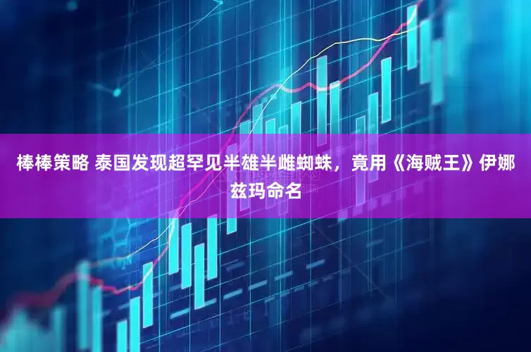 棒棒策略 泰国发现超罕见半雄半雌蜘蛛，竟用《海贼王》伊娜兹玛命名
